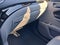 2019 Honda Pilot Touring 7-Passenger